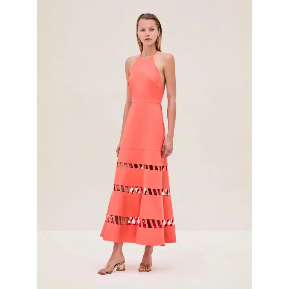 Alexis Janessa Dress - Dress