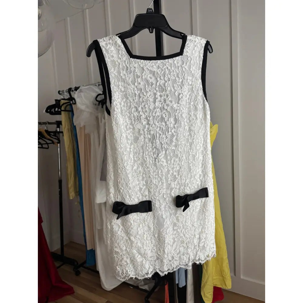 Helsa The Lace Mini Dress in White - Dresses